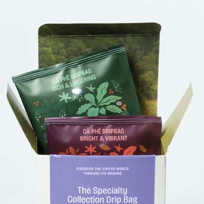 HỘP MIXED 10 GÓI CÀ PHÊ PHIN GIẤY SPECIALTY DRIP BAG