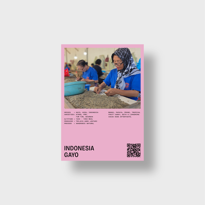INDONESIA GAYO