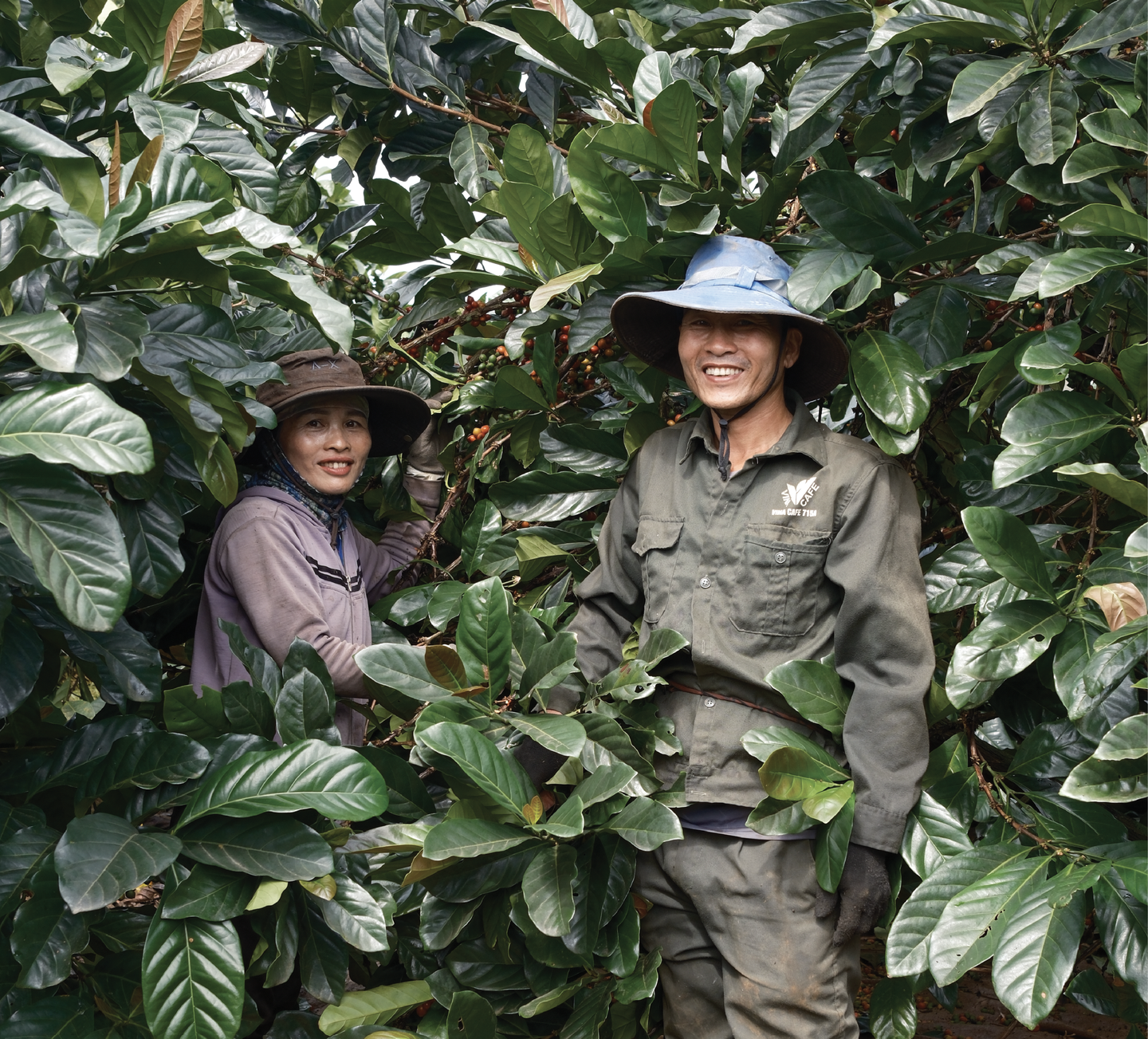 HÌNH 4.png